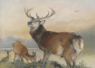 Sir Edwin Henry Landseer, R.A. - A Stag And Two Hinds Before A Loch