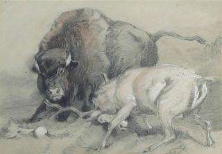 Sir Edwin Henry Landseer, R.A. - A stag challenging a bison