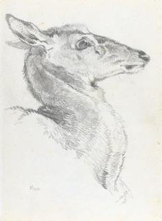 Sir Edwin Henry Landseer, R.A. - A Study For A Head Of A Deer For The Chevy Chase  