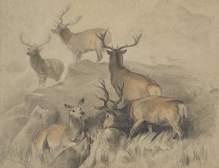 Sir Edwin Henry Landseer, R.A. - Some Of The Best Harts In The Forest