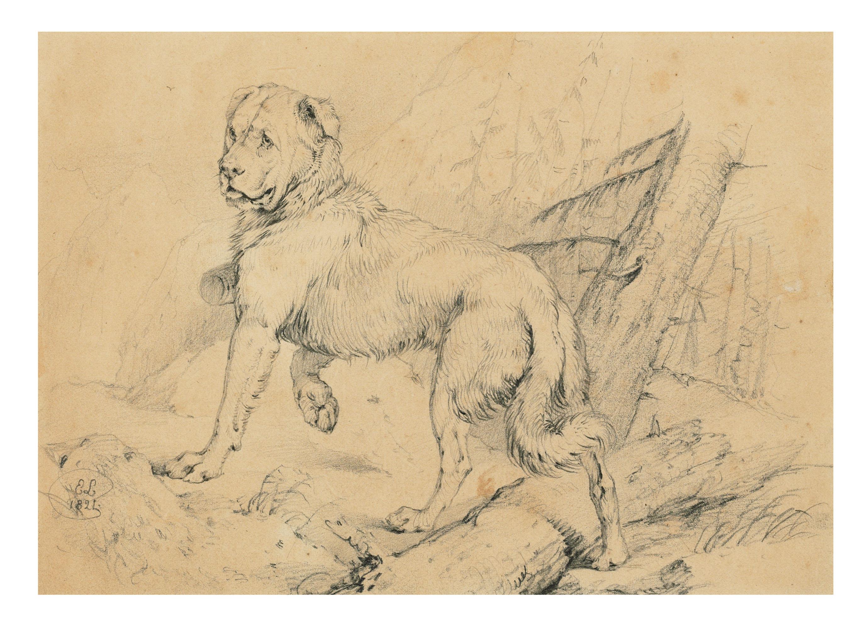 Sir Edwin Henry Landseer, R.A. - Study for \'Alpine mastiffs reanimating a distressed traveller\'
