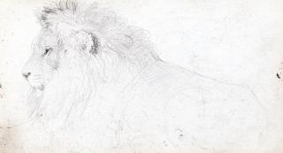 Sir Edwin Henry Landseer, R.A. - Study of a lion (recto); and Study of a bull (verso)