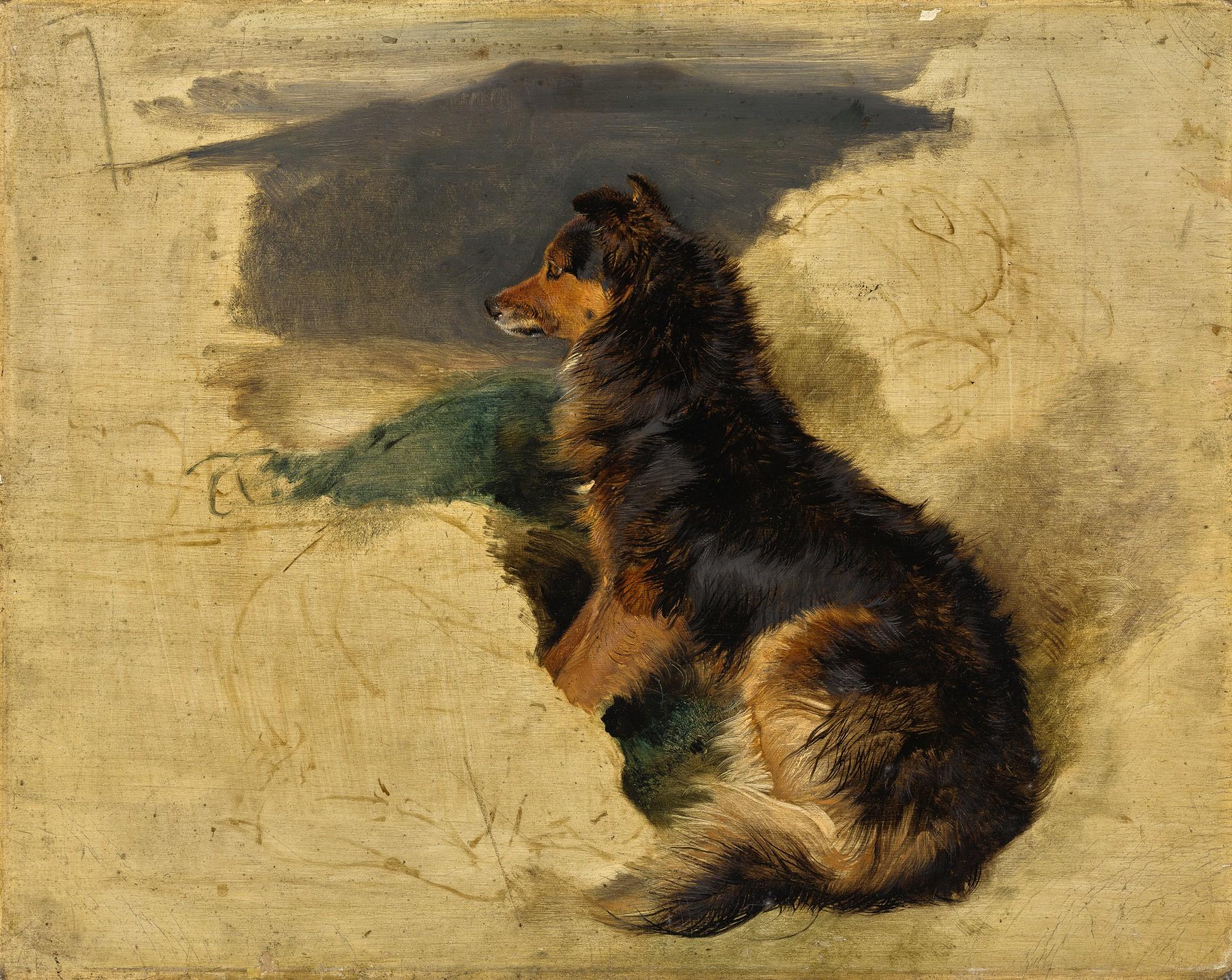 Sir Edwin Henry Landseer, R.A. - Study Of A Scotch Collie (Recto); Study Of William Russell With A Falcon And A Hound (Verso)