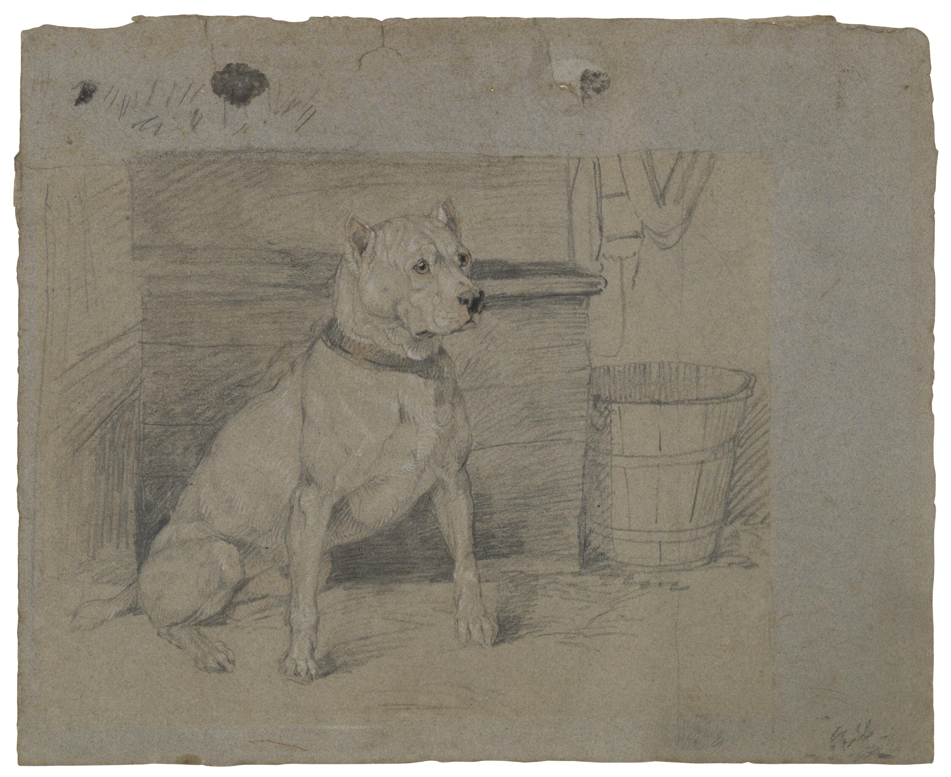 Sir Edwin Henry Landseer, R.A. - Study of \'Brutus\'