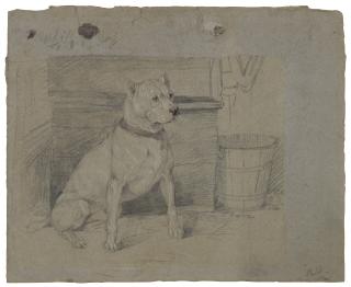 Sir Edwin Henry Landseer, R.A. - Study of \'Brutus\'