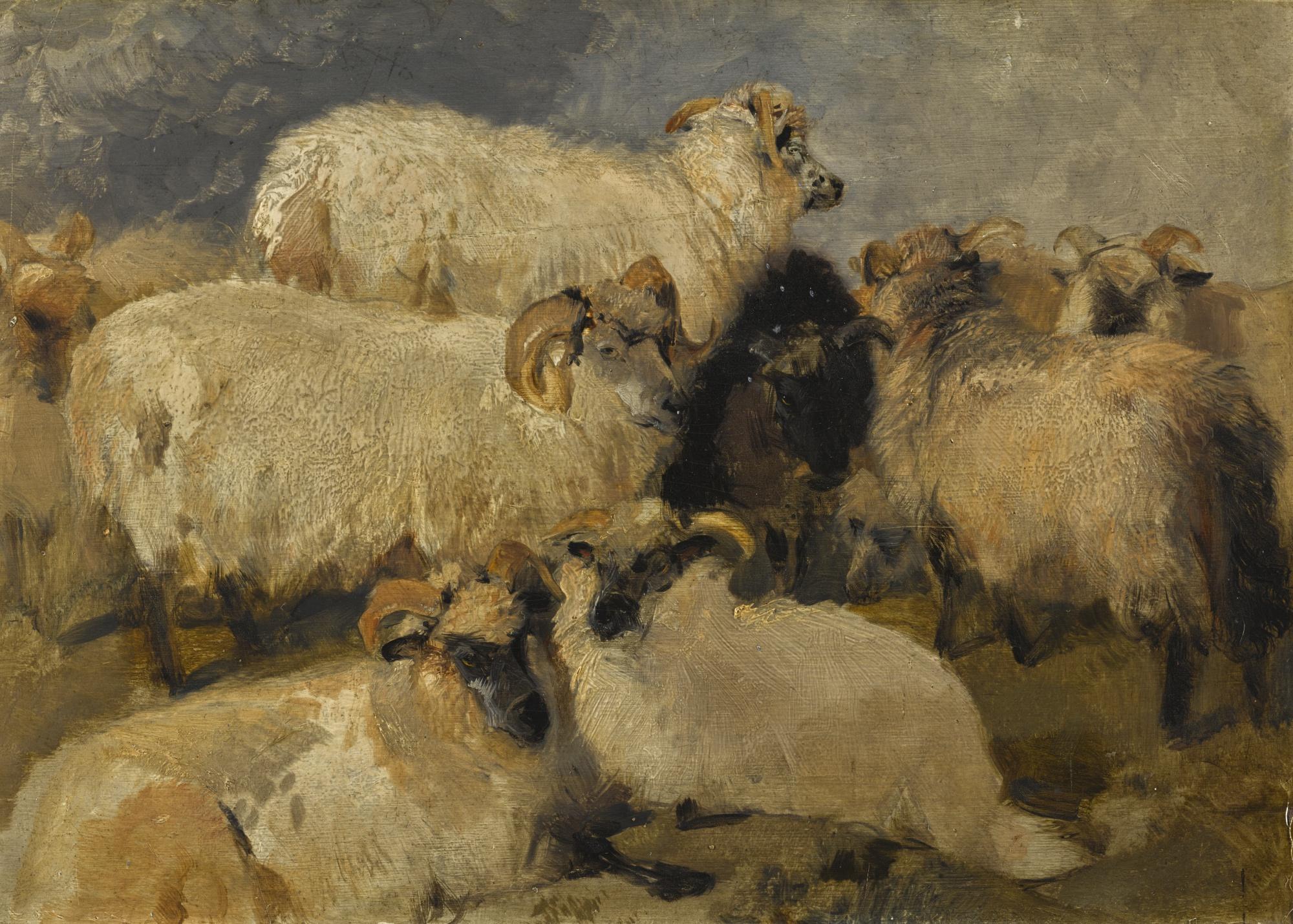 Sir Edwin Henry Landseer, R.A. - Study Of Highland Blackface Sheep