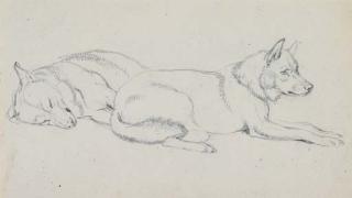 Sir Edwin Henry Landseer, R.A. - Study of Huskies