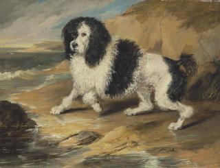 Sir Edwin Henry Landseer, R.A. - Tapageur, The Poodle Belonging To The Honorable Frederick Byng