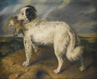 Sir Edwin Henry Landseer, R.A. - The Champion; Venus, A Landseer Newfoundland With A Rabbit