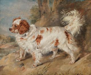 Sir Edwin Henry Landseer, RA - A Marlborough Spaniel