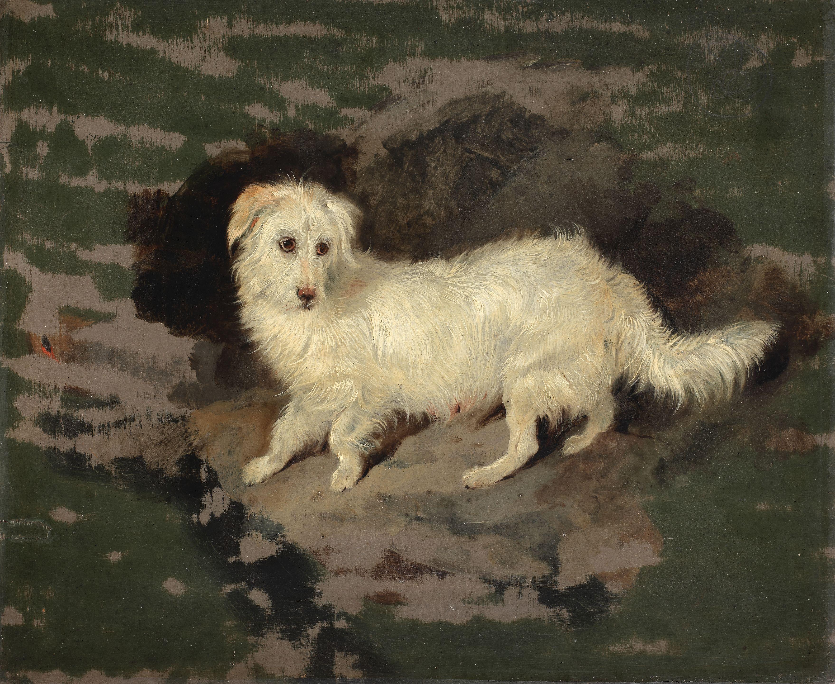 Sir Edwin Henry Landseer, RA - Skye