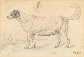Sir Edwin Henry Landseer, RA - Study of a dog