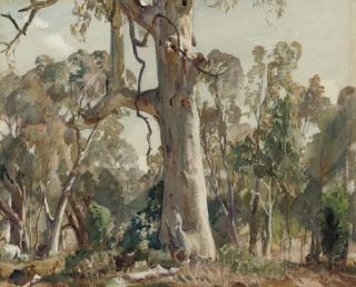 Sir Hans Heysen - The Gum Tree