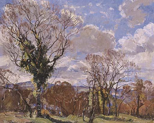 Sir John William Ashton - New Growth, After the Bushfire