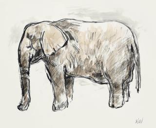 Sir Kyffin Williams, R.A. - Elephant