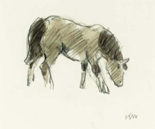 Sir Kyffin Williams, R.A. - Study of a Welsh Pony