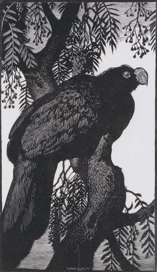 Sir Lionel Arthur Lindsay - Prince Albert Curassow
