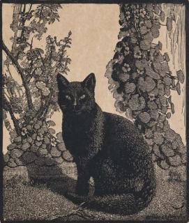 Sir Lionel Arthur Lindsay - The Black Cat