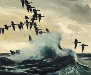 Sir Peter Markham Scott - \