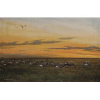 Sir Peter Scott - A Gaggle Of Geese