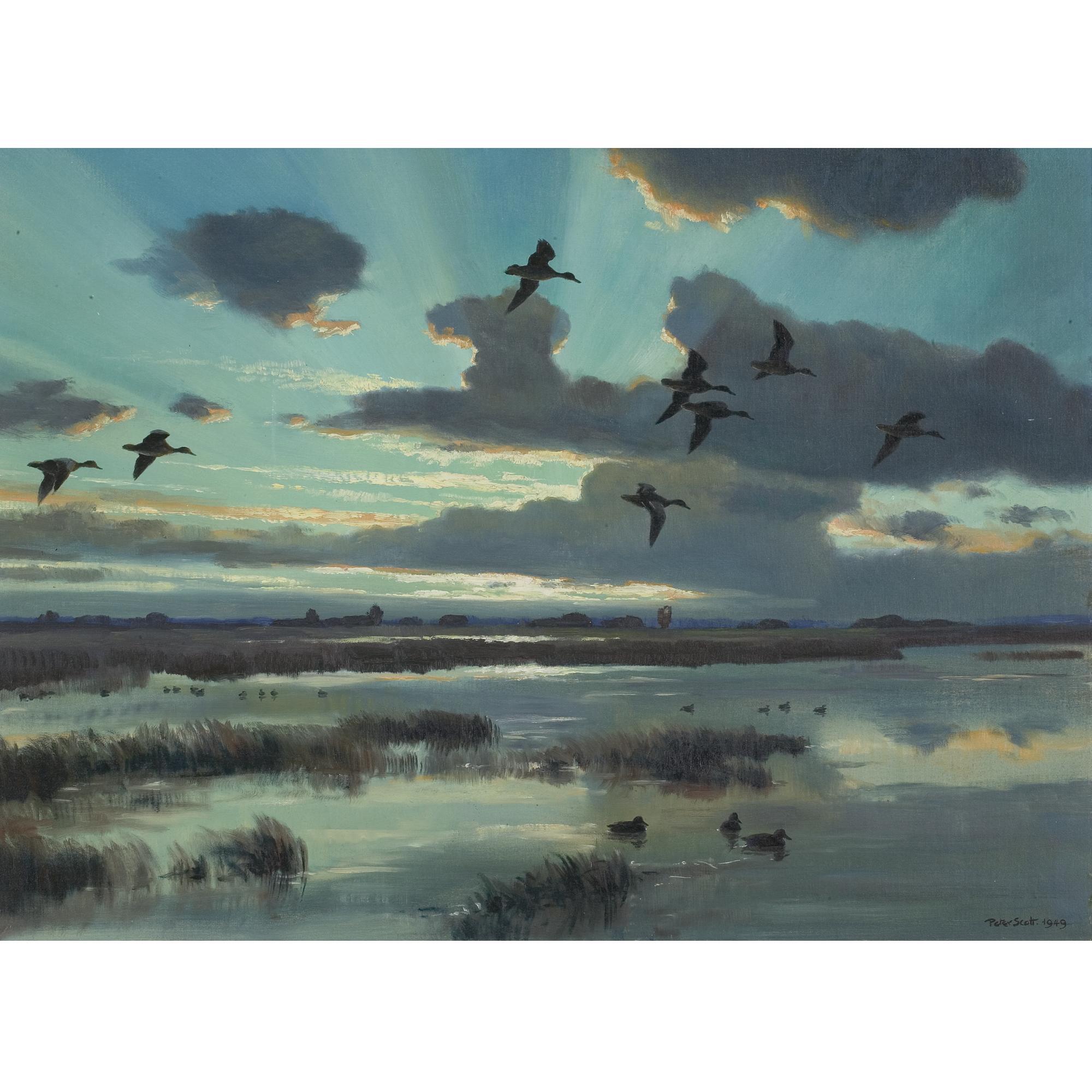 Sir Peter Scott - Blue Wings At Sunset
