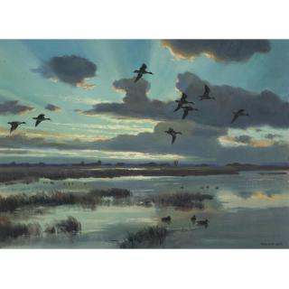 Sir Peter Scott - Blue Wings At Sunset