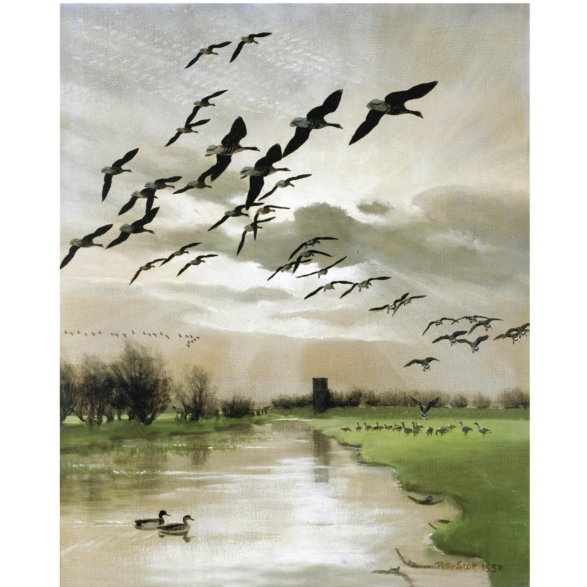 Sir Peter Scott - Geese Over An Estuary At Sunset