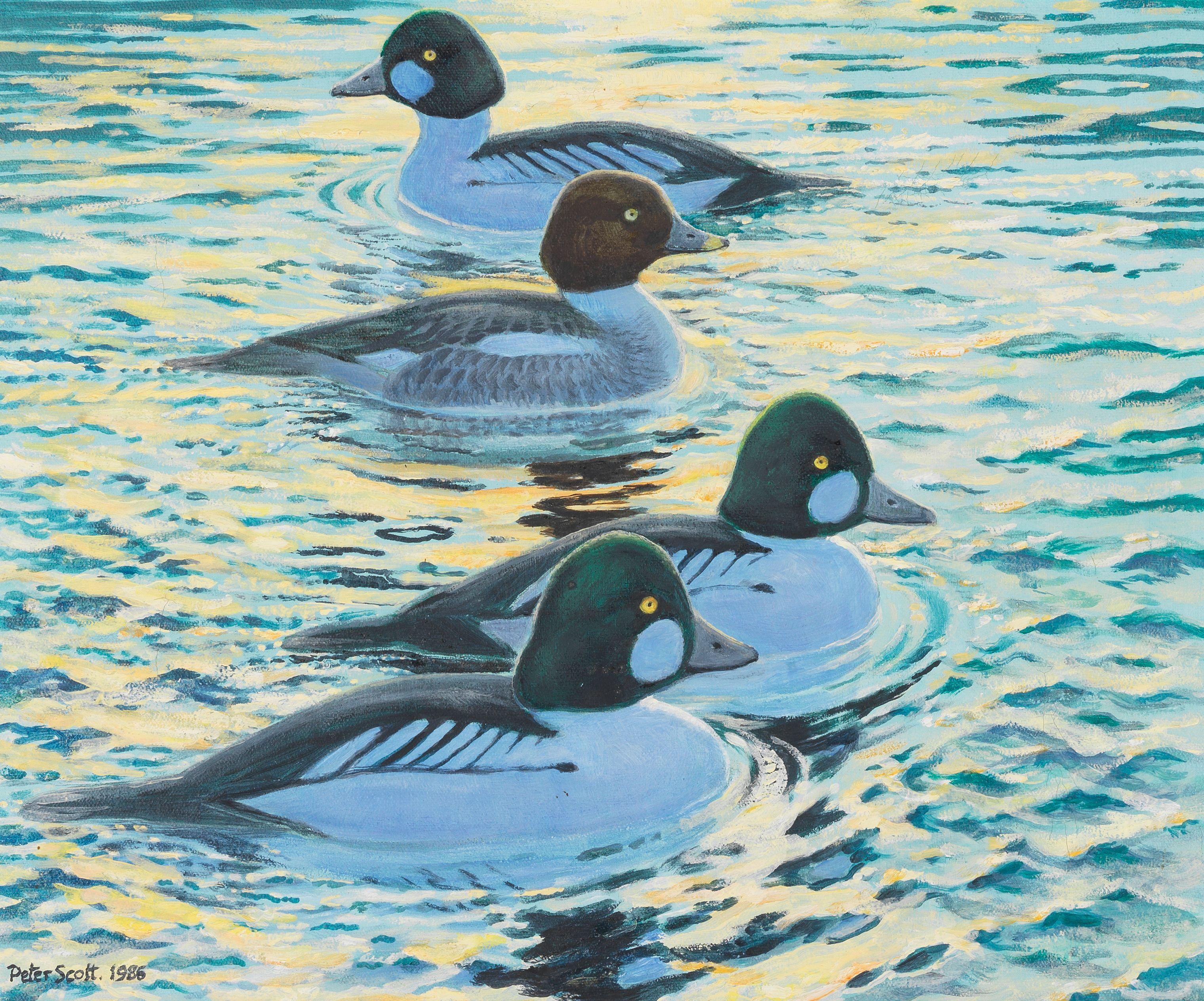 Sir Peter Scott - Golden Eyes on Golden Water