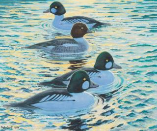 Sir Peter Scott - Golden Eyes on Golden Water