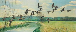 Sir Peter Scott - Mallard and Teal in Flight