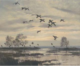 Sir Peter Scott - Mallards gliding in recto; and Geese feeding verso