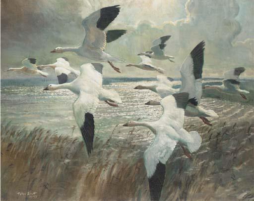 Sir Peter Scott - Snow geese before the squall