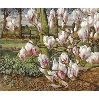 Sir Stanley Spencer R.A. - Magnolias, 1938