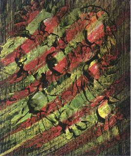 Sir Sydney Nolan - Plate 2, from Floral Images