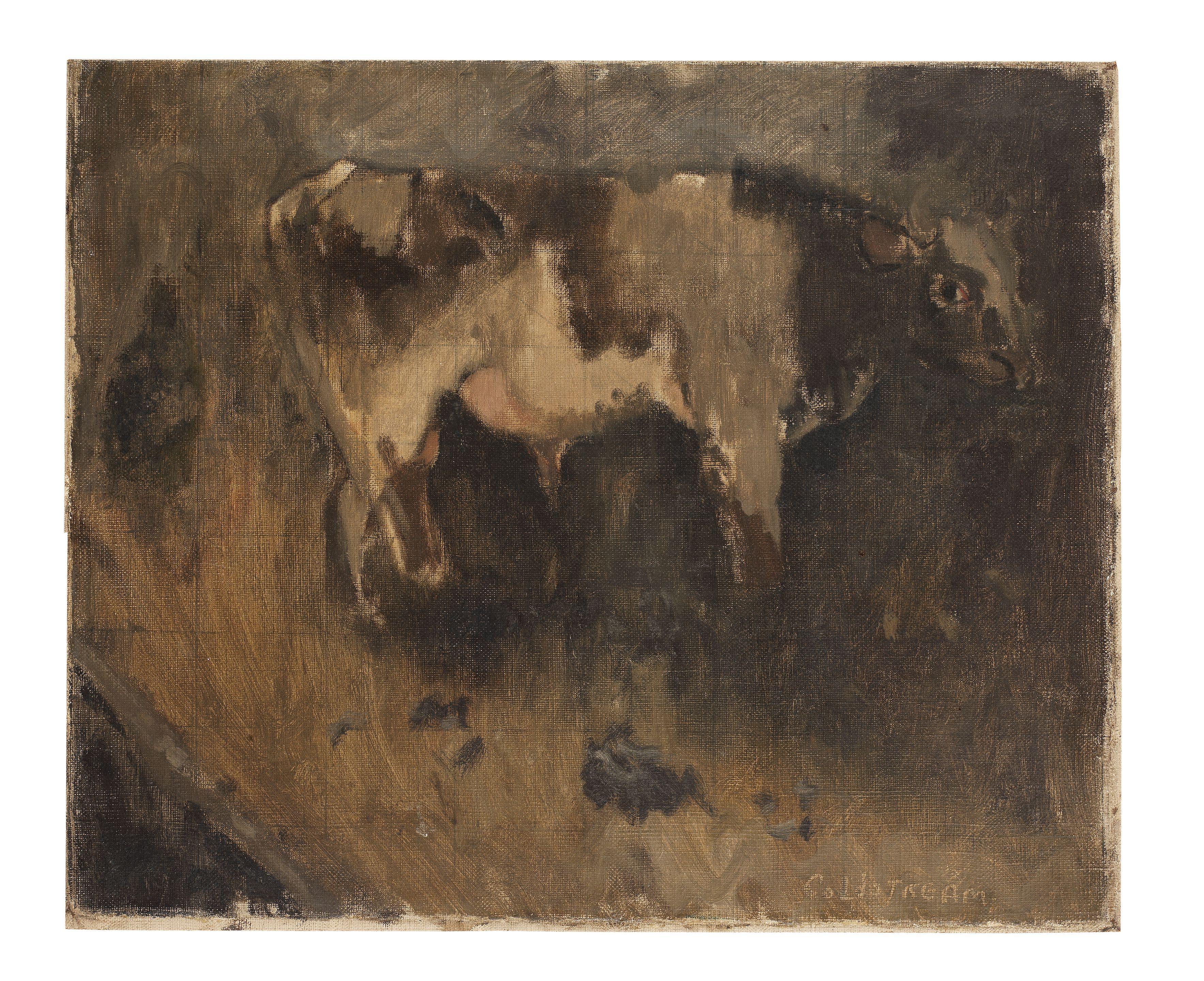 Sir William Coldstream - Study of a Bullock