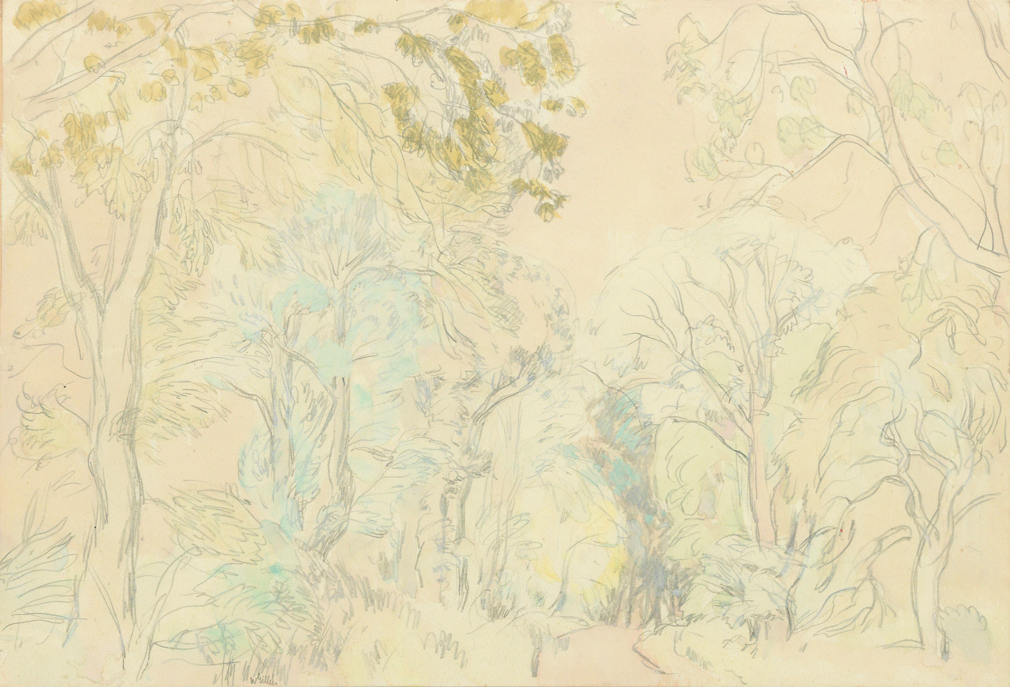 Sir William George Gillies CBE LLD RSA PPRSW RA - Forest Path