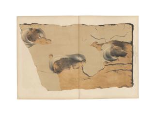 Sir William Jardine - Unknown