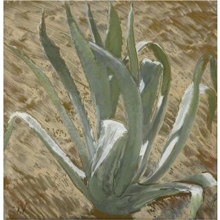Sir William Nicholson - Cactus Plant