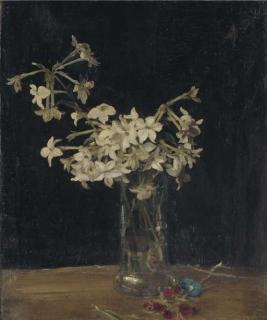 Sir William Nicholson - Tobacco Plant
