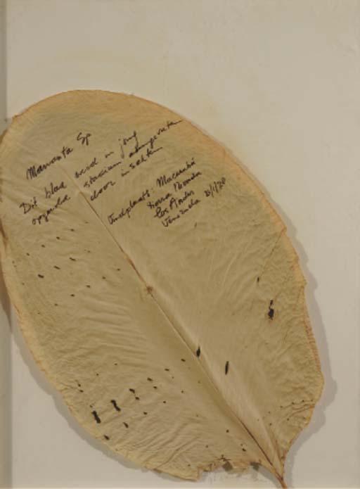 Sjoerd Buisman - Mananta Sp.