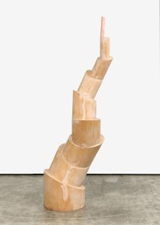 Sjoerd Buisman - Phyllotaxis.