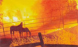 Slawomir Elsner - My Country Nr. 3