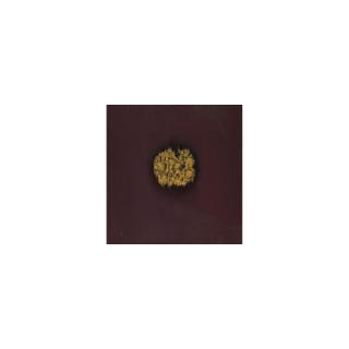 Sohan Qadri - Hara Continuum