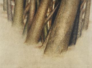 Sohrab Sepehri - Untitled (From The Tree Trunk Series)