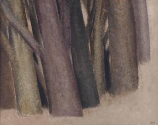 Sohrab Sepehri - Untitled (from the Tree Trunks series)