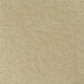 Sol Lewitt - American Untitled