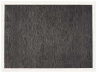 Sol LeWitt - Black with White Lines, Vertical, Not Touching, from Conspiracy: The Artist as Witness