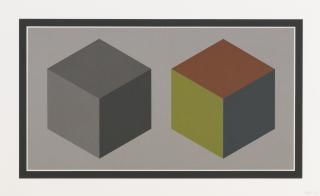 Sol Lewitt - Double Cubes In Grays And Colors Superimposed (Krakow 1989.02)