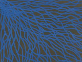 Sol Lewitt - Irregular Curves