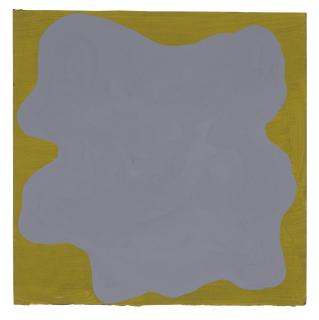 Sol Lewitt - Irregular Form